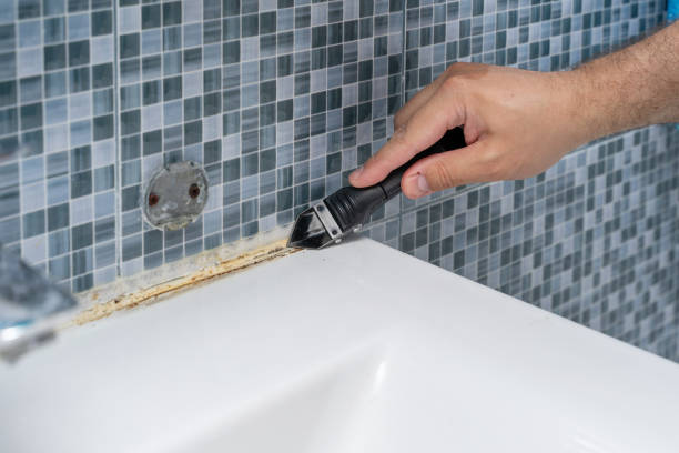 Best Mold Damage Repair  in Velda City, MO
